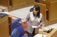  Lorenzana apunta no Parlamento que Galicia rematará 2022