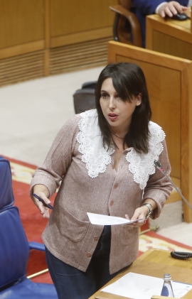  Lorenzana apunta en el Parlamento que Galicia finalizará 2022