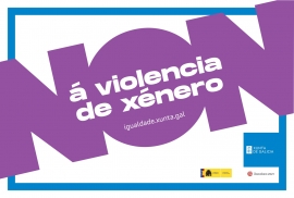  Declaración institucional no Día internacional para a eliminación da violencia de xénero