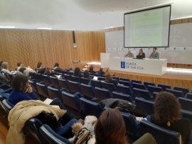 A Xunta informa aos concellos da provincia da Coruña da convocatoria de case 11 M€ para previr a violencia de xénero, promover a igualdade e a conciliación e apoiar os CIM