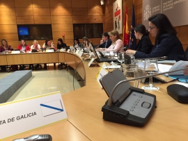 Representantes da Secretaría Xeral da Igualdade da Xunta participaron no marco da Conferencia Sectorial de Igualdade celebrada hoxe en Madrid